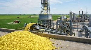 Prilled Sulfur | گوگرد پریل چیست؟ | ما هو الكبريت البريلي؟