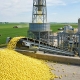 Prilled Sulfur | گوگرد پریل چیست؟ | ما هو الكبريت البريلي؟
